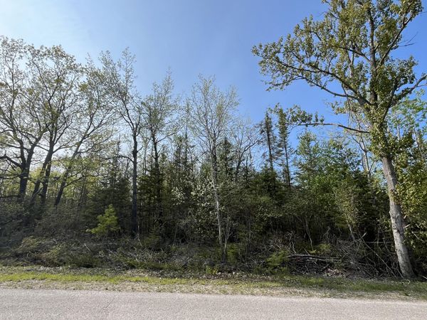 Lot 102 Laurelhill Circle, Presque Isle, MI 49777