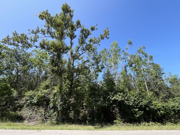 Lot 102 Laurelhill Circle, Presque Isle, MI 49777
