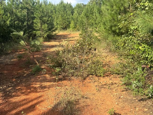 0 Co Rd 49, Muscadine, AL 36269