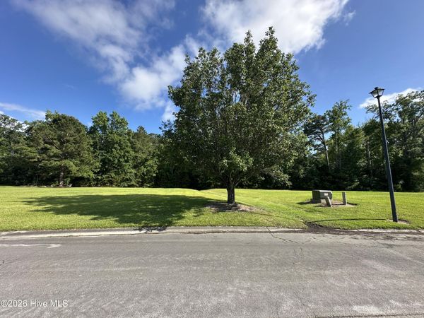 98 Carolina Way , Arapahoe, NC 28510