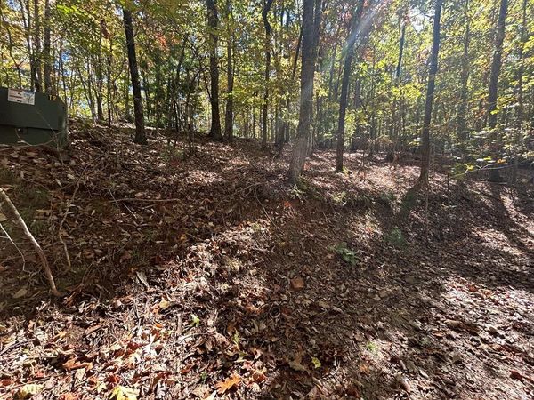 Lot 1 &2 Royal Oaks , Brasstown, NC 28902