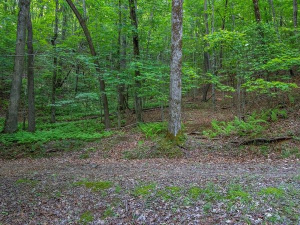 00 Laurel Mountain Road, Brasstown, NC 28902