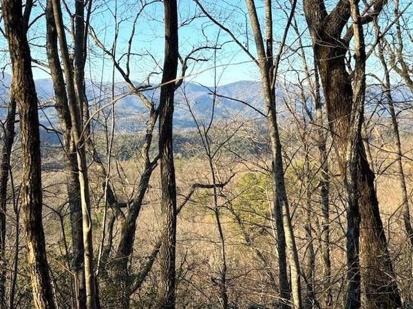 7.0 ac Laurel Drive , Marble, NC 28905