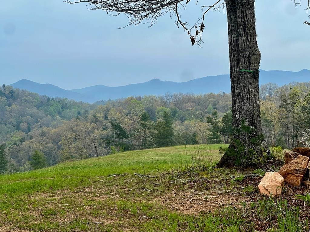 Tr 47 Majestic Mountain Trail, Murphy, NC 28906 Main Photo