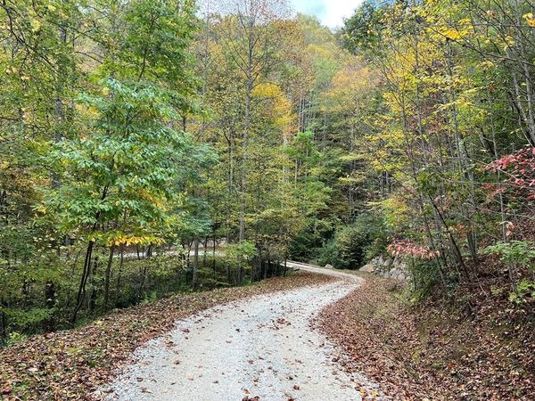 Lot 19 Preserve Valley Road, Nantahala, NC 28781