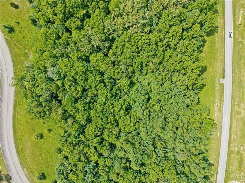 Lot North Beach Road, Paint Twp, OH 45133 Photo 14