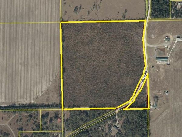 199TH ROAD, Live Oak, FL 32060