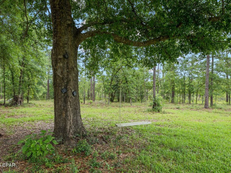 Property Image 63