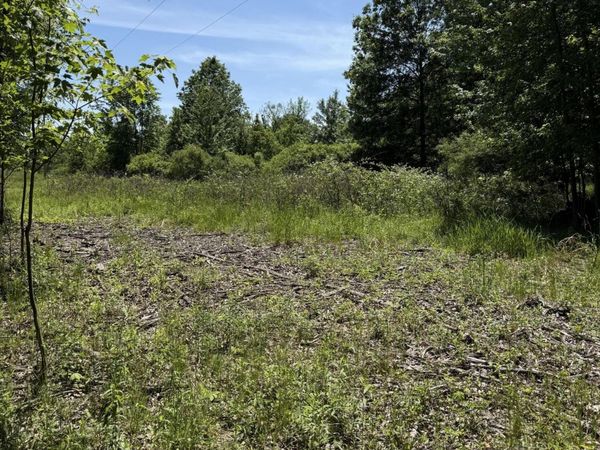 V/L 50th Street, Bangor, MI 49013
