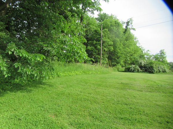Williamsville Street, Cassopolis, MI 49031