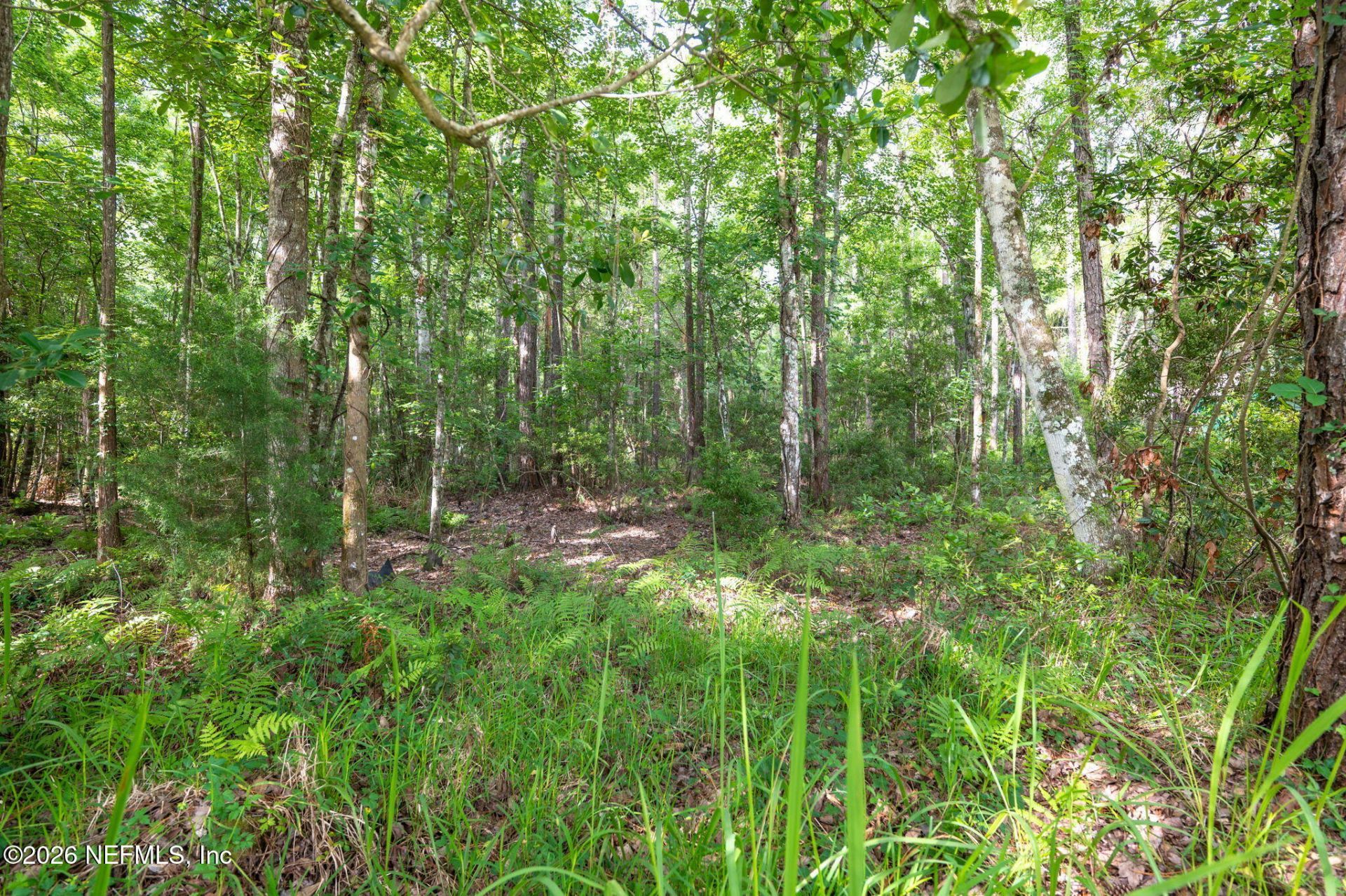 4945 Moultrie Reserve Court, Saint Augustine, FL 32086 Photo