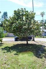 1519 Delaware Avenue Ne, Saint Petersburg, FL 33703 Photo
