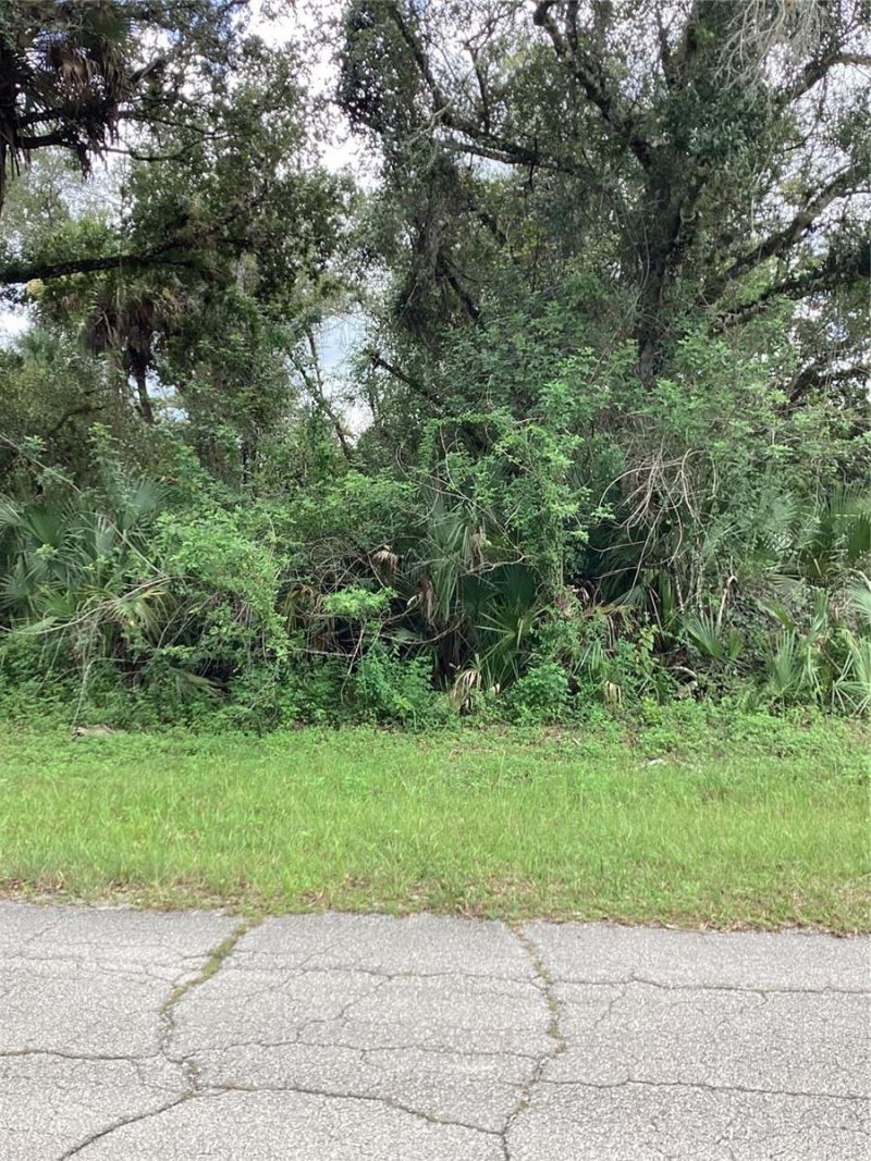 March Lane, Labelle, FL 33935 Photo