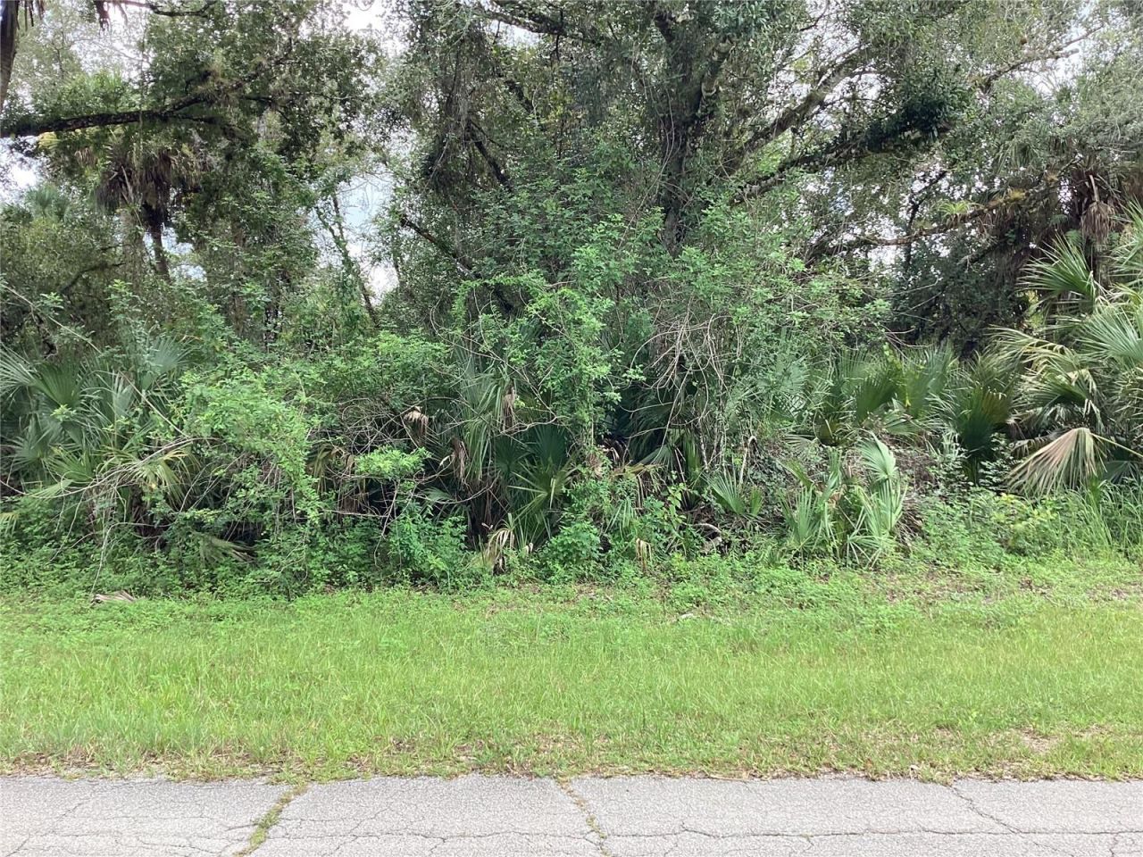 March Lane, Labelle, FL 33935 Photo