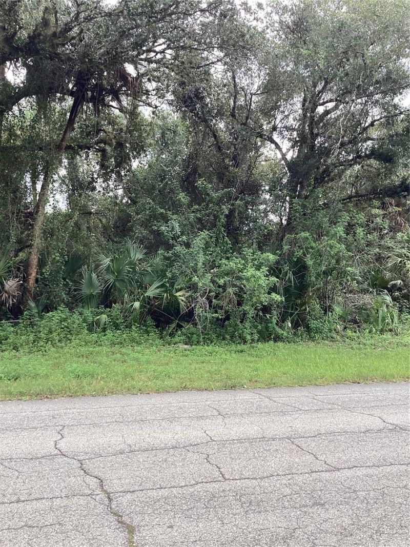 March Lane, Labelle, FL 33935 Photo