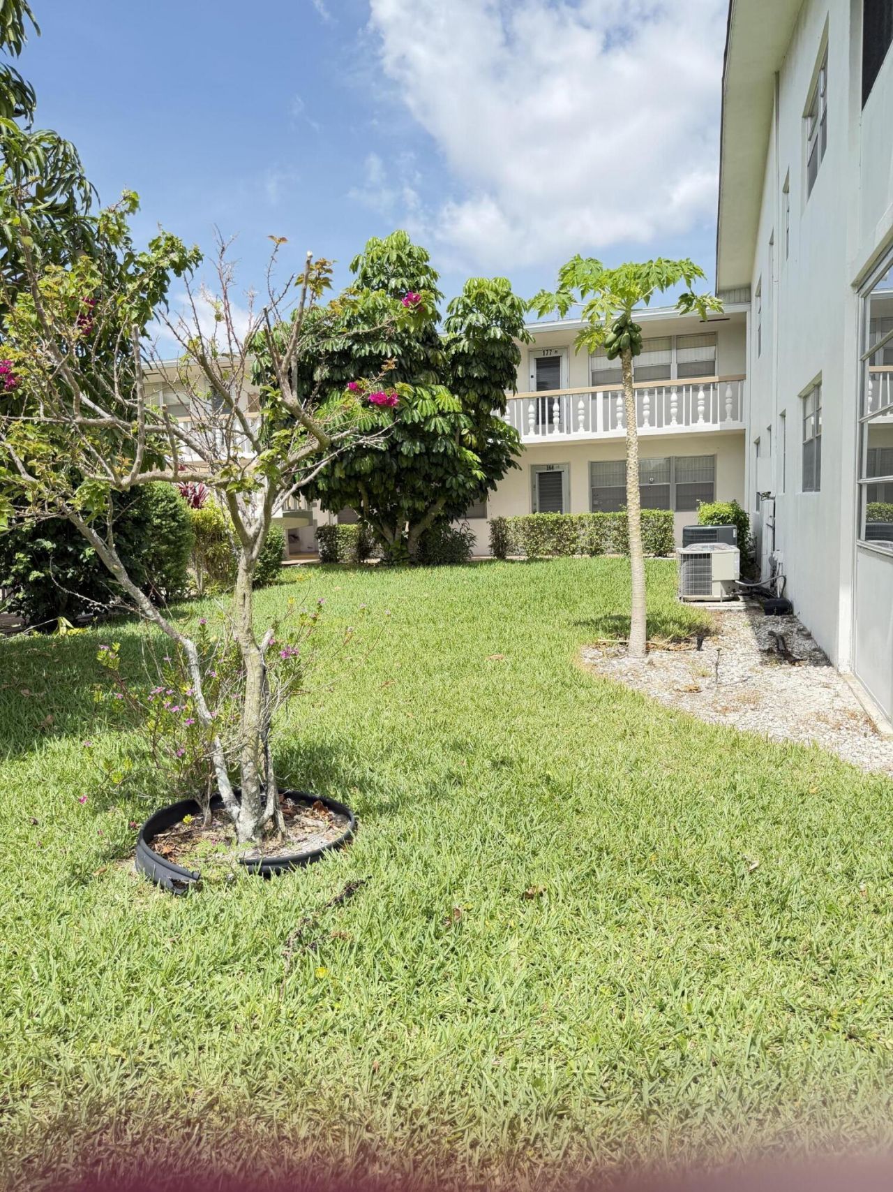 179 Windsor H, West Palm Beach, FL 33417 Photo