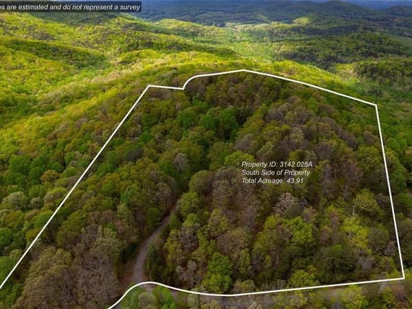 43.91 Old Burnt Mountain , Ellijay, GA 30540