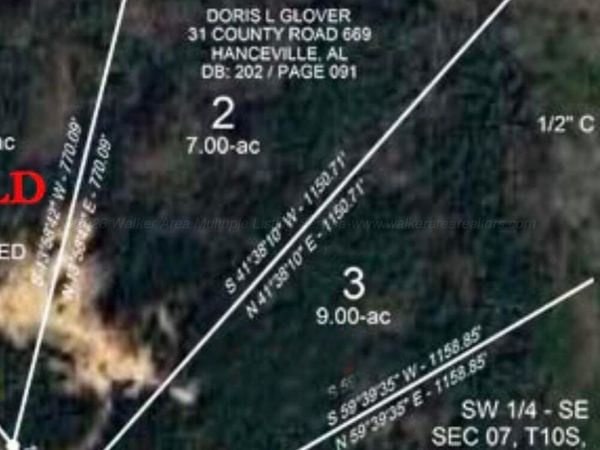 0 COUNTY ROAD 78, Double Springs, AL 35553