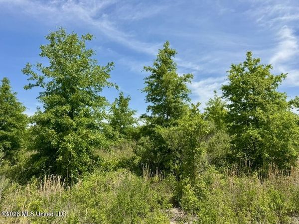 00001 Highway 3, Lambert, MS 38643