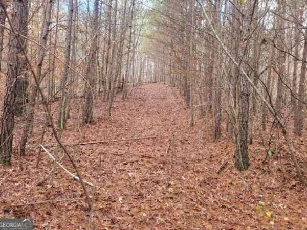 18.22 Talona Road, Ellijay, GA 30540