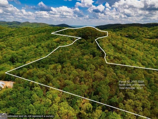 43.91 Old Burnt Mountain Road, Unit PART OF C, Ellijay, GA 30540