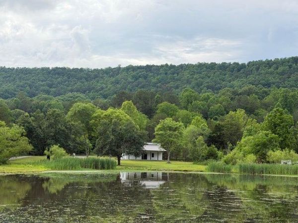 1483 Reagan Valley Road , Tellico Plains, TN 37385