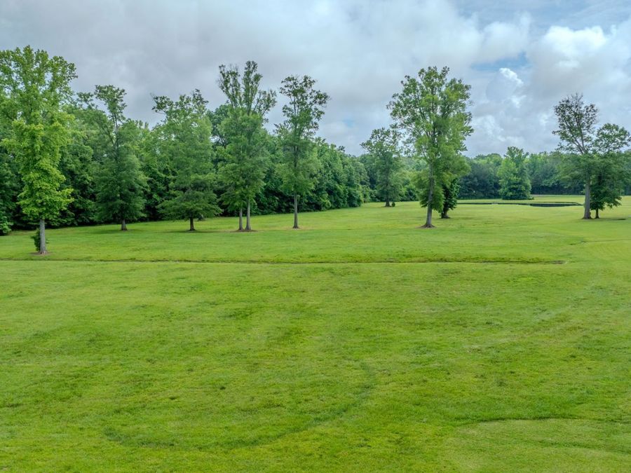 Property Image 100