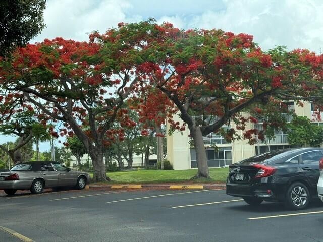 3341 NW 47th Terrace, Unit 408, Lauderdale Lakes, FL 33319 Photo