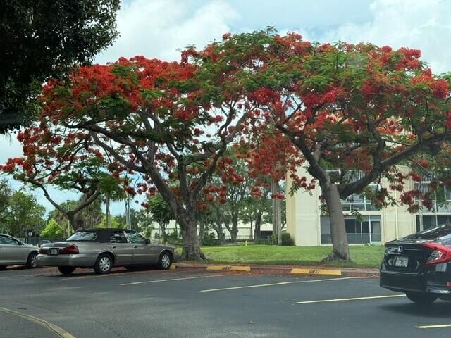 3341 NW 47th Terrace, Unit 408, Lauderdale Lakes, FL 33319 Photo