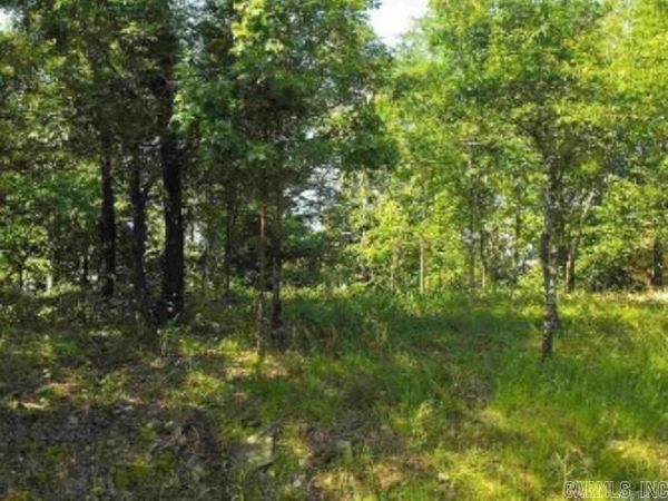 46 Binefar Way , Hot Springs Village, AR 71909
