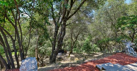 3596 Cedar Ravine Rd, Placerville, CA 95667 Photo