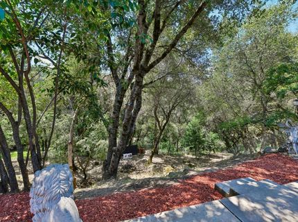 3596 Cedar Ravine Rd, Placerville, CA 95667 Photo