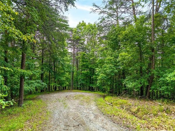 1332 Birch Lane NE, Ranger, GA 30734