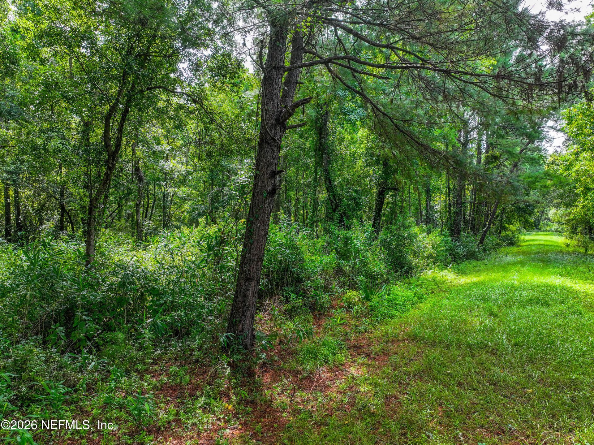 0 County Road 108, Hilliard, FL 32046 Photo