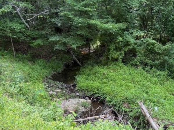 1 RAPIDAN ROAD , LOCUST GROVE, VA 22508