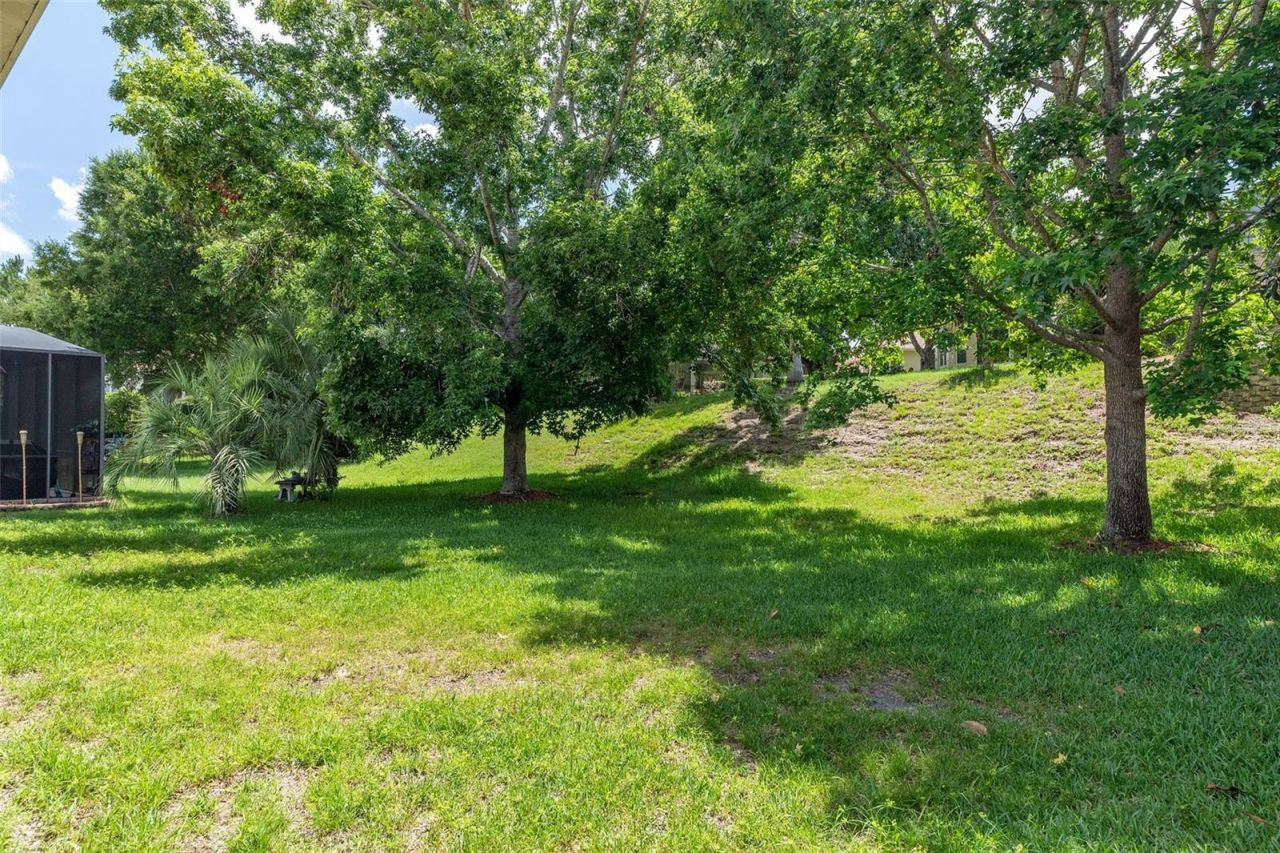 1080 W Skyview Crossing Drive , Hernando, FL 34442 Photo