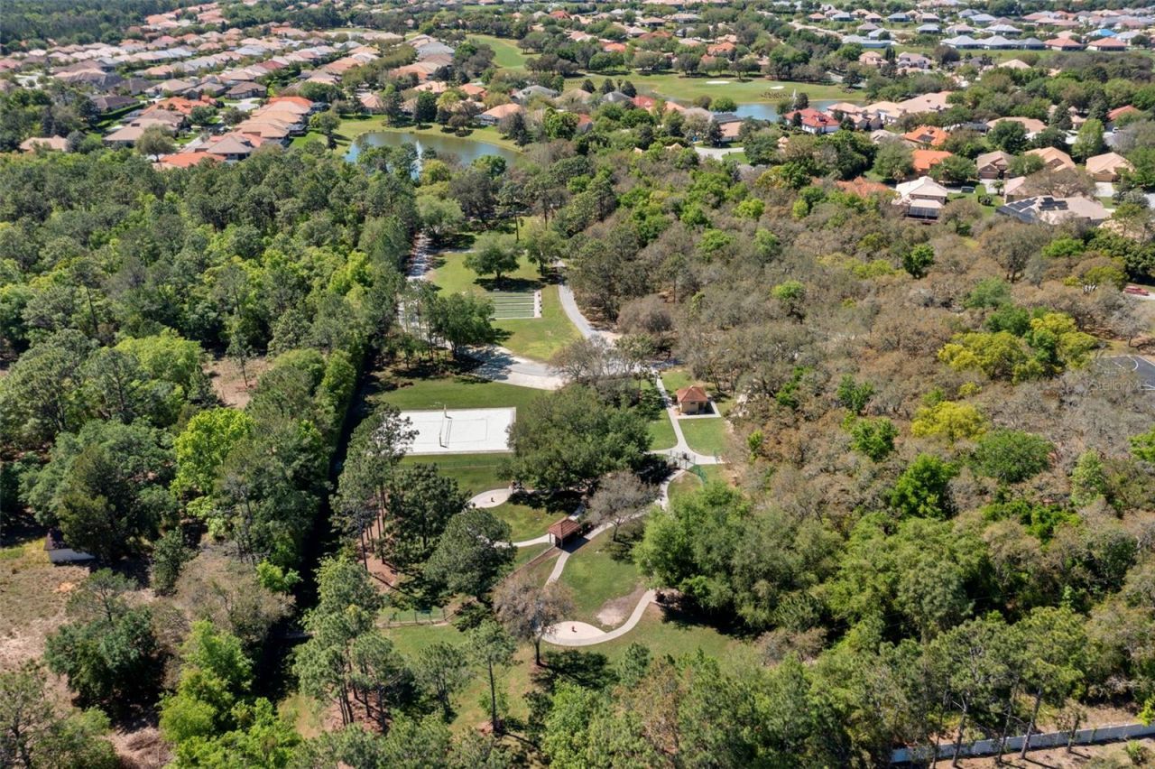 1080 W Skyview Crossing Drive , Hernando, FL 34442 Photo