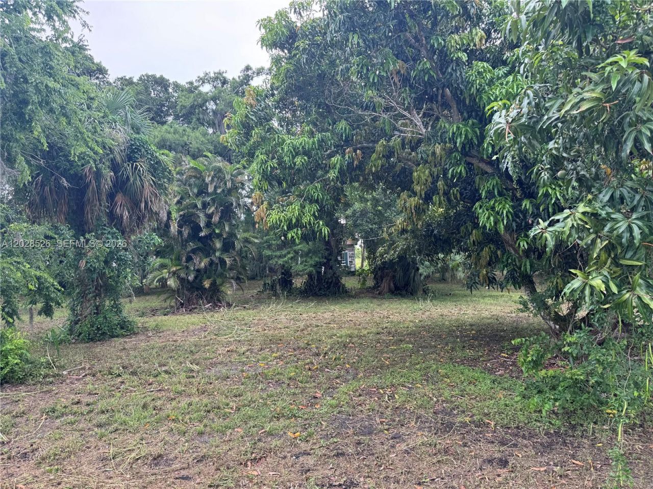 19121 SW Conners Hwy , Port Mayaca, FL 33438 Photo