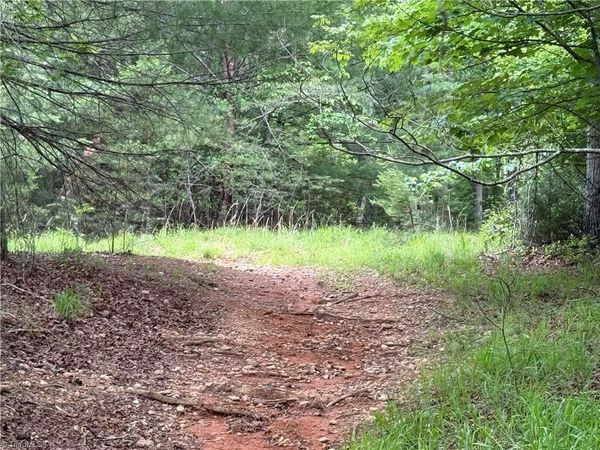 0 Old Lowgap Road , Lowgap, NC 27024