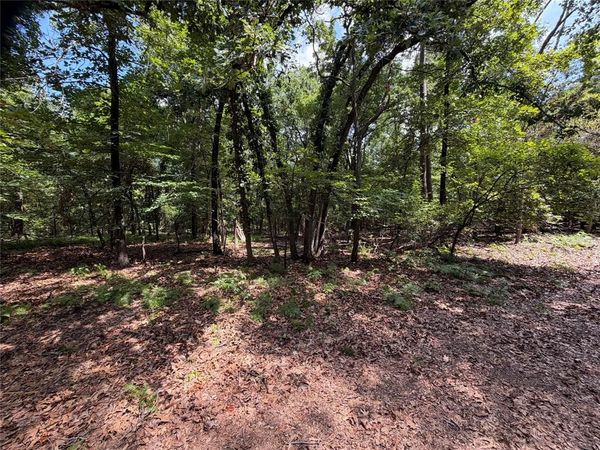 Lot 29 & 30 King Arthur Court , Scroggins, TX 75480
