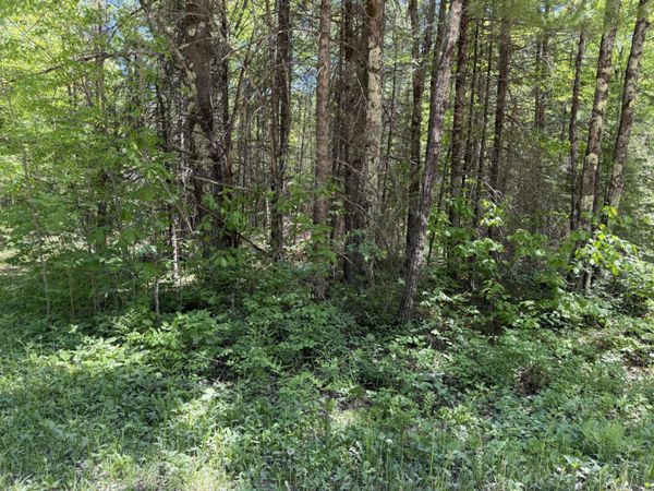 Lt2 Westberg Rd, Amberg, WI 54102