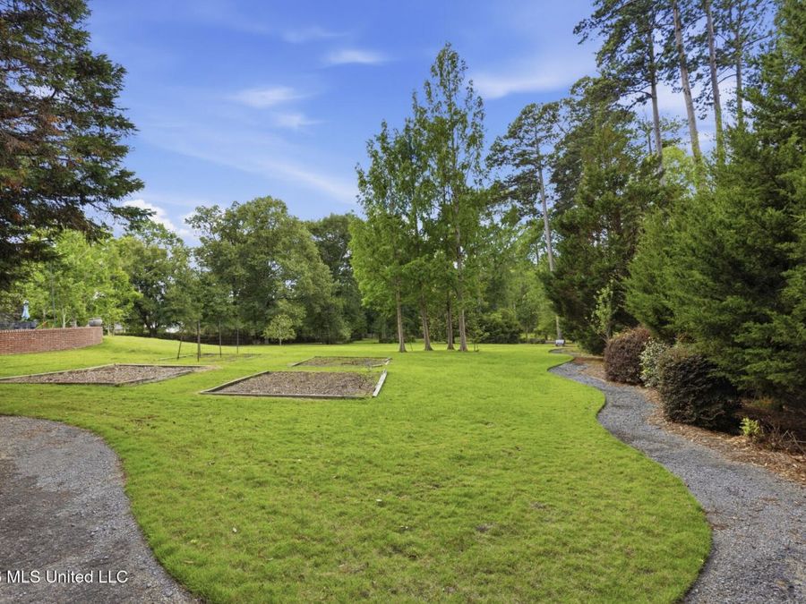 Property Image 74