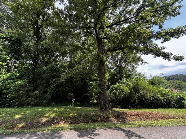 0 Kendall Avenue , Bridgeport, AL 35740