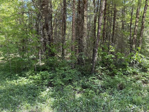 Lt2 WESTBERG ROAD, Amberg, WI 54102