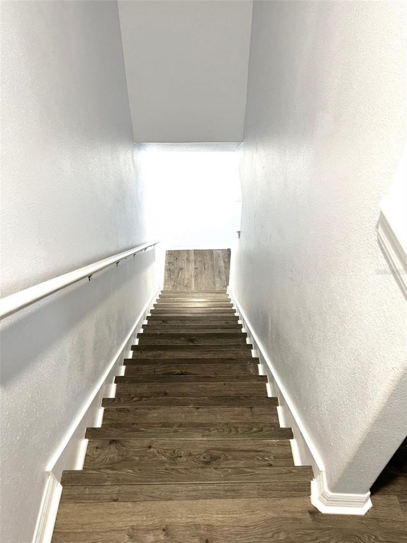 9741 Trumpet Vine Loop , Trinity, FL 34655 Photo