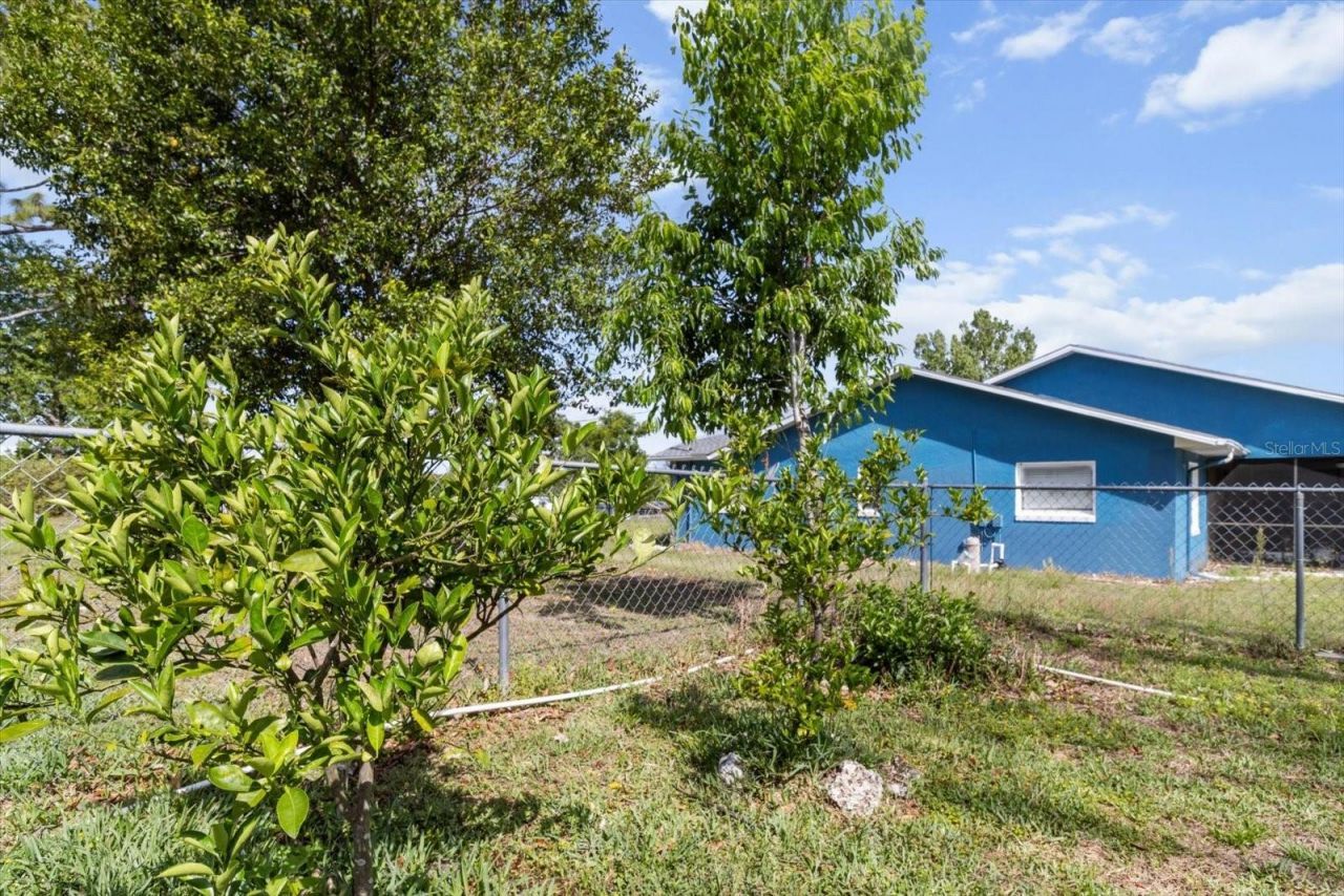 8921 S Thoroughbred Point , Inverness, FL 34452 Photo