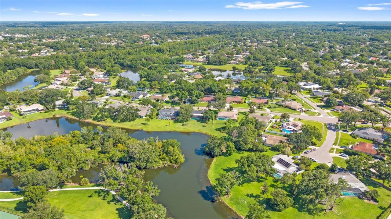 4308 Middle Lake Drive , Tampa, FL 33624 Photo