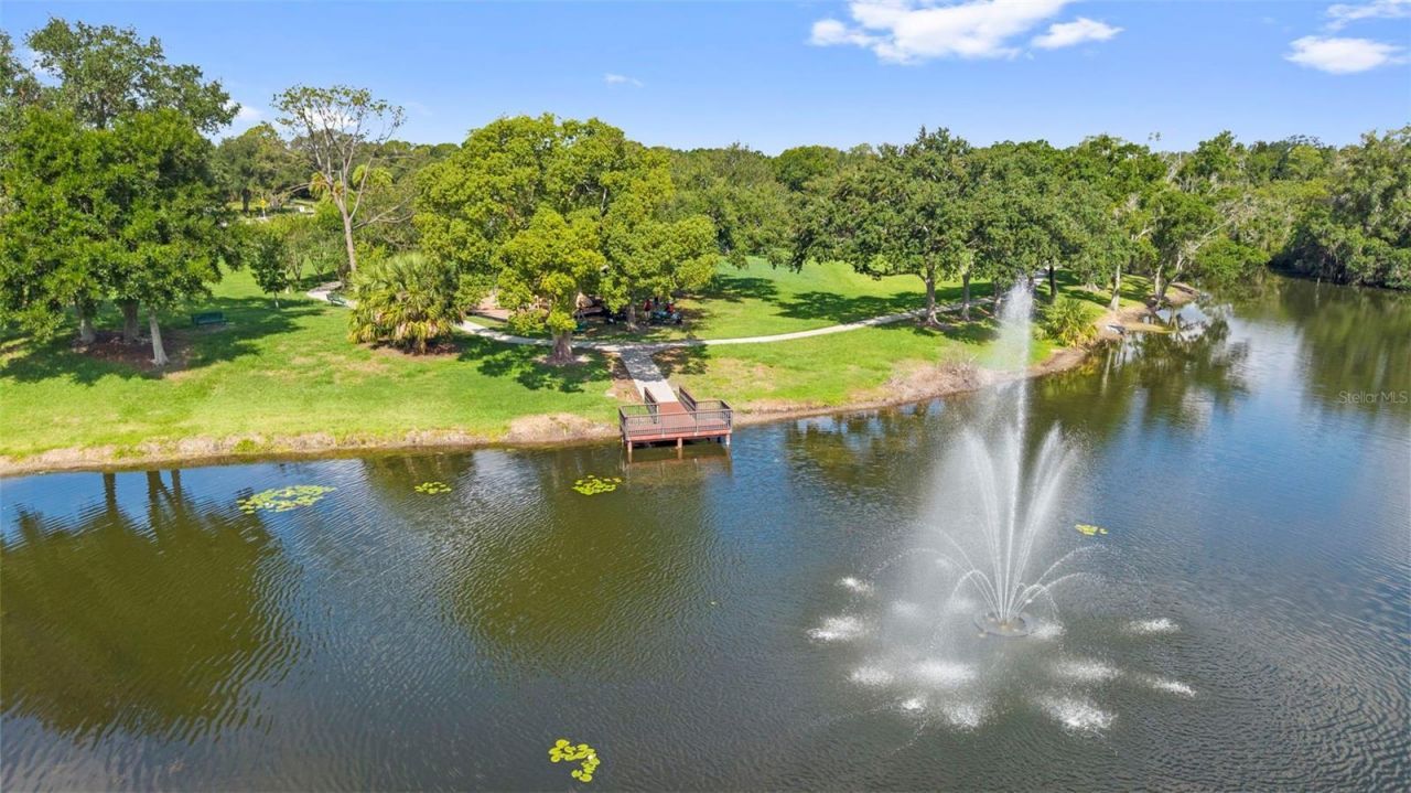 4308 Middle Lake Drive , Tampa, FL 33624 Photo