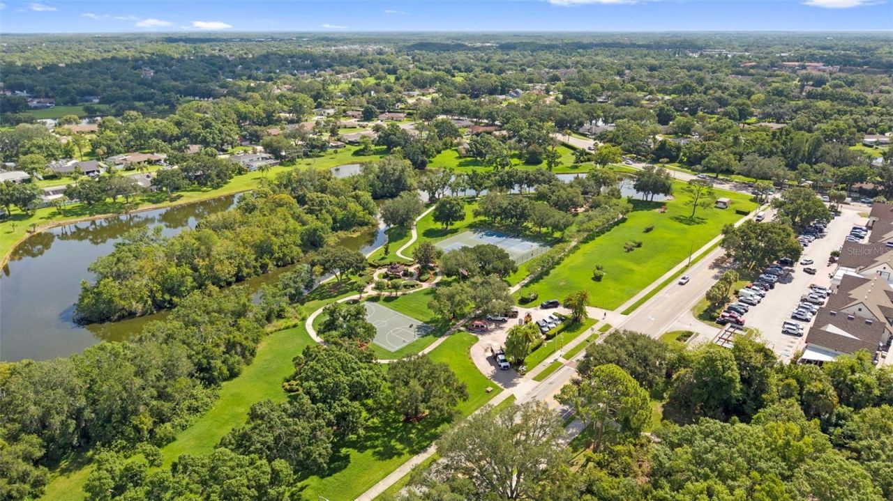 4308 Middle Lake Drive , Tampa, FL 33624 Photo
