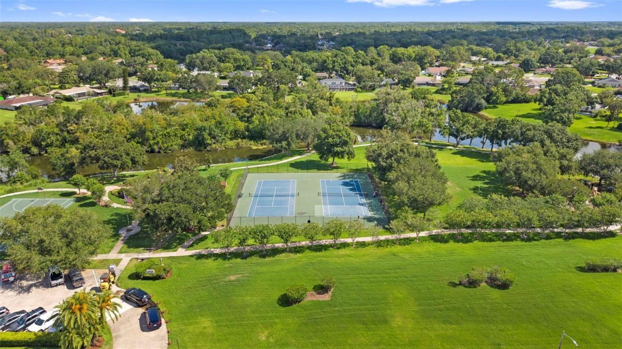 4308 Middle Lake Drive , Tampa, FL 33624 Photo